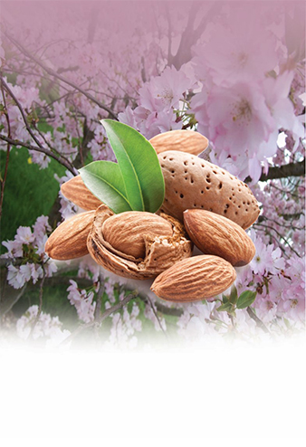 Bitter Almond