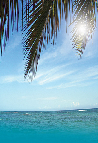 Caribbean Sun