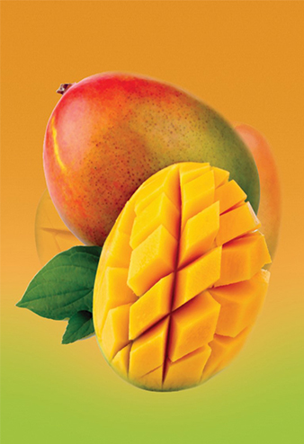 Mango Delight